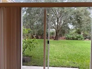 a view of backyard with plants and trees