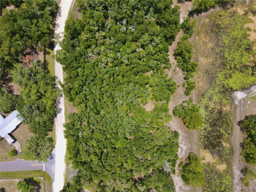 34237 Shaffer Drive Webster, FL 33597 - Photo 10 of 18