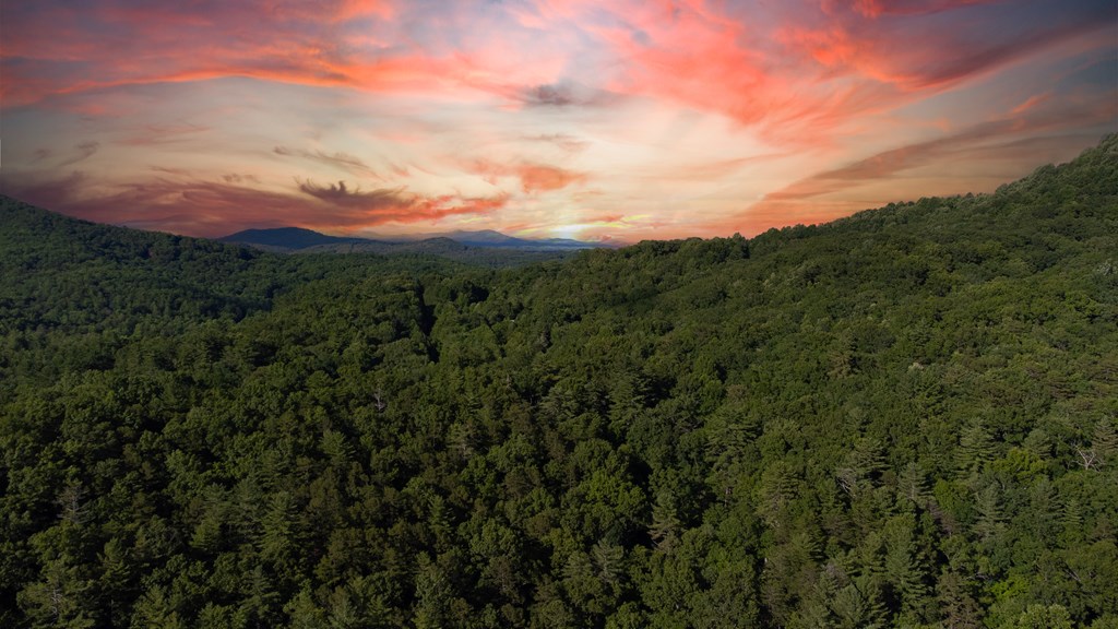 Lot 18 Cub Trail Cherry Log, GA 30522 - Photo 11 of 17