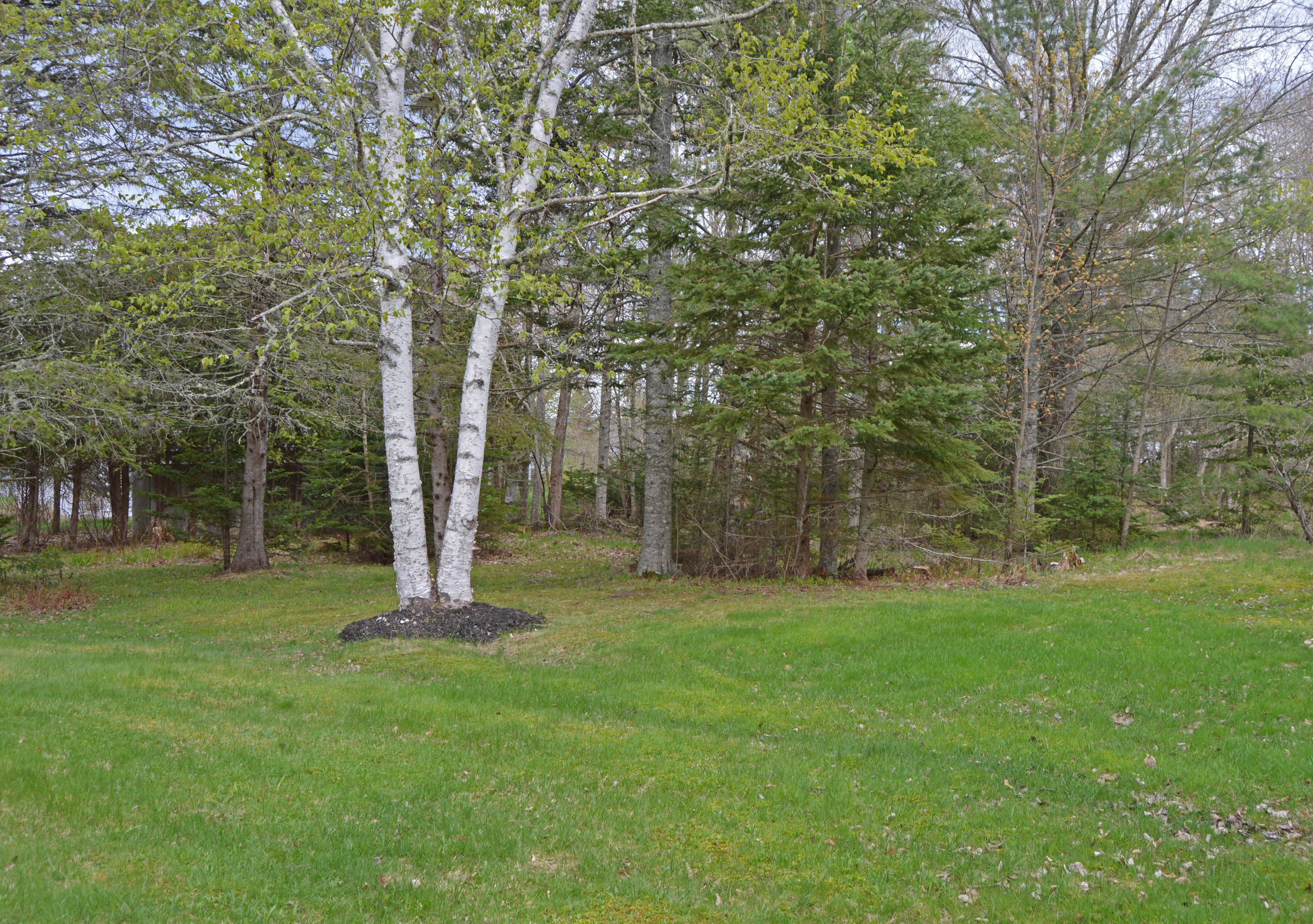 33 Post Office Road Hancock, ME 04640 - Photo 26 of 30 Baileyyardagain