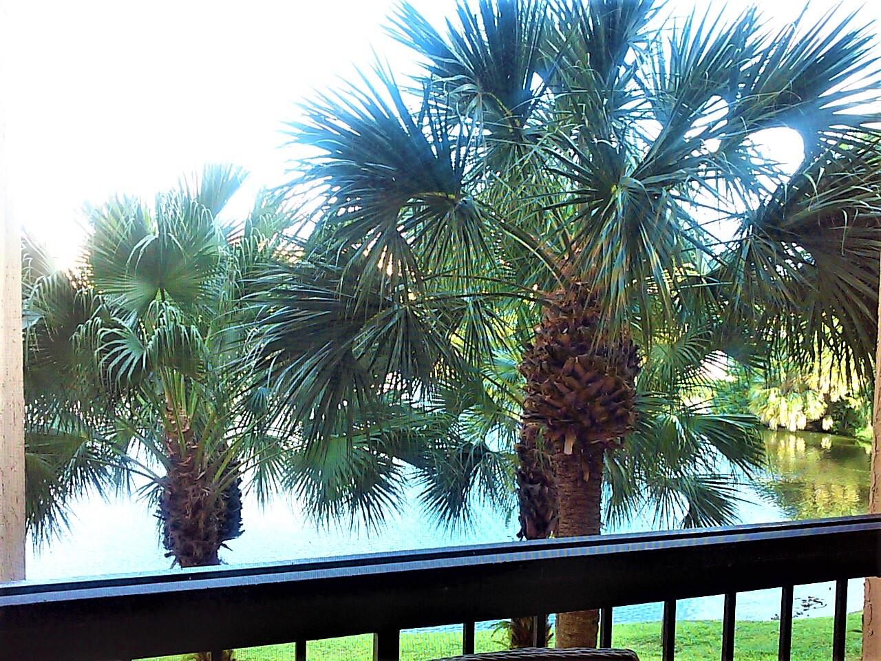 955 Dotterel Road, Unit 2305 Delray Beach, FL 33444 - Photo 27 of 35 view