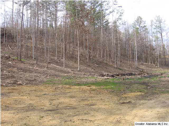 720 Sportsman Lake Road, Unit 4 2 AC Springville, AL 35146 - Photo 8 of 14