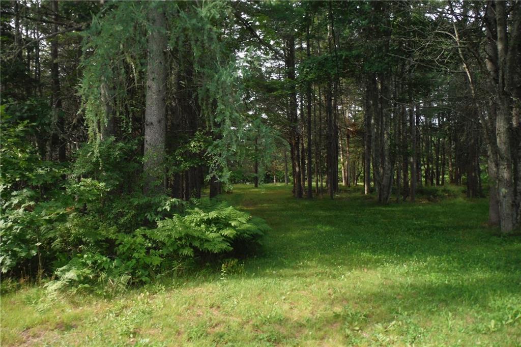 0 Russell Hill Road Bucksport, ME 04416 - Photo 7 of 10 Photo