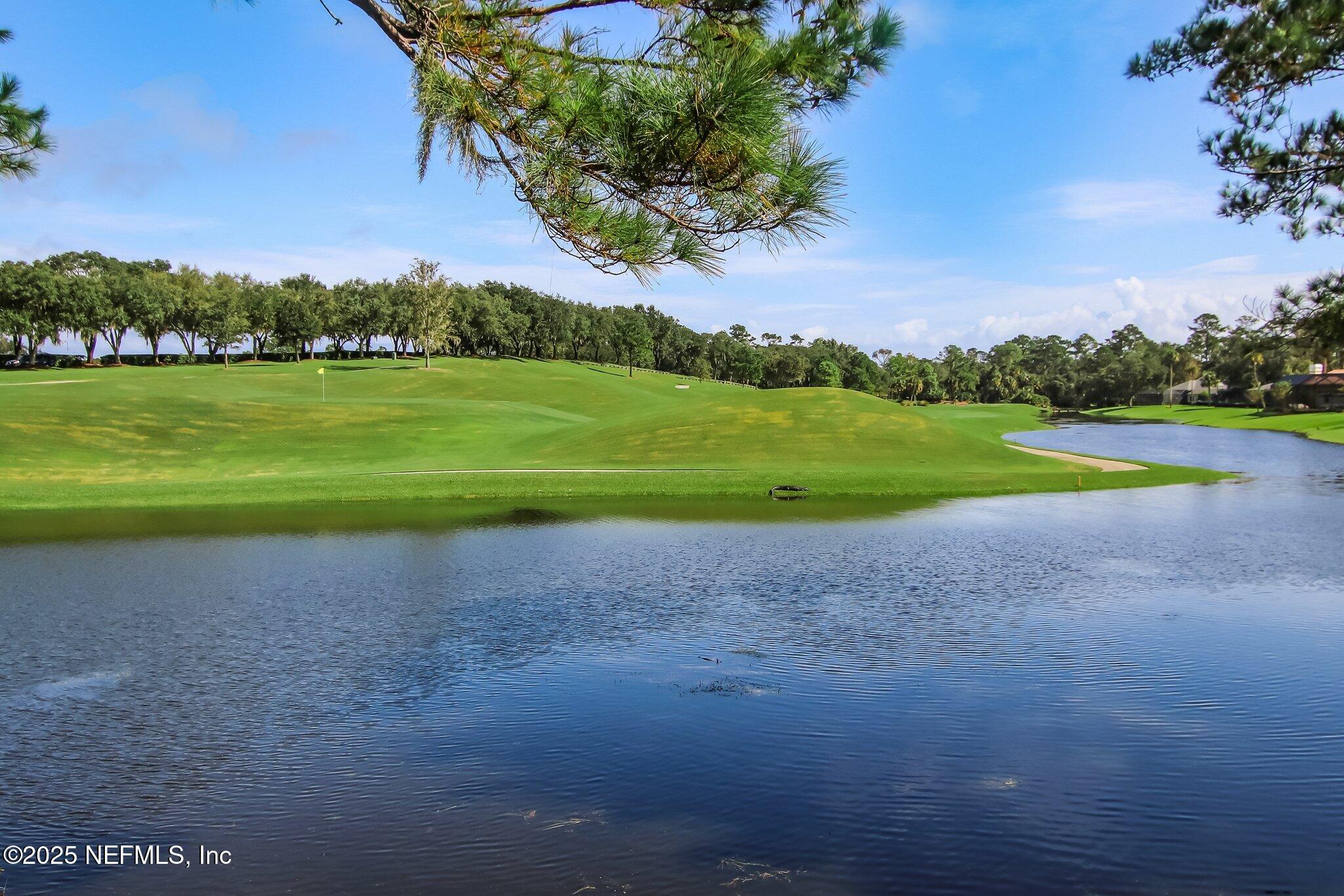 14 Turtleback Trail Ponte Vedra Beach, FL 32082 - Photo 54 of 63 TPC Golf