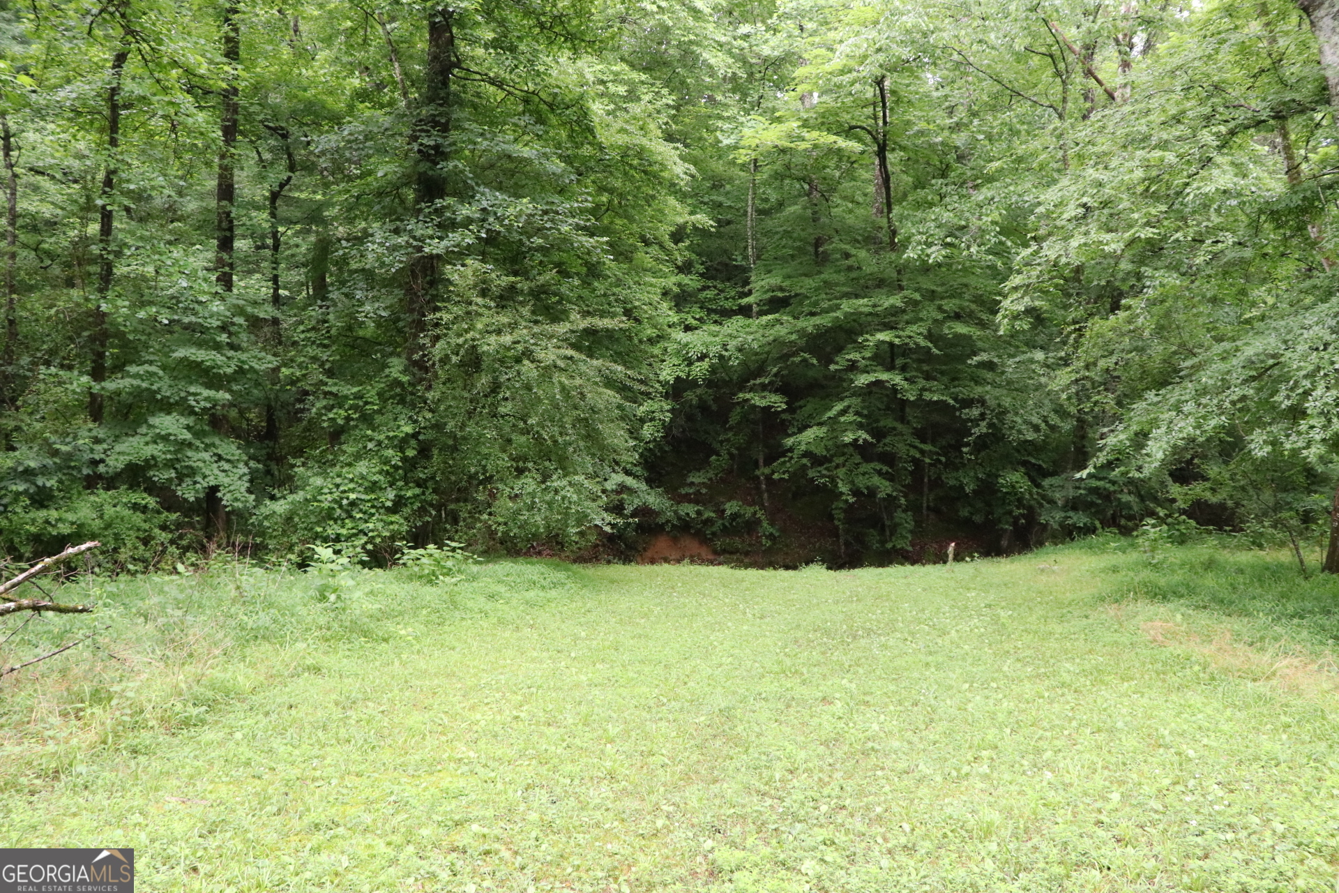 833 Neal Gap Road Summerville, GA 30747 - Photo 34 of 86
