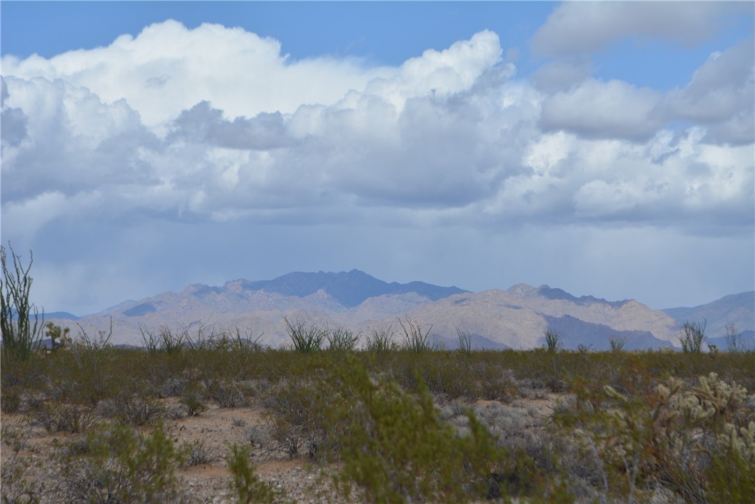 165-166 Cherry Road Yucca, AZ 86438 - Photo 1 of 95 View