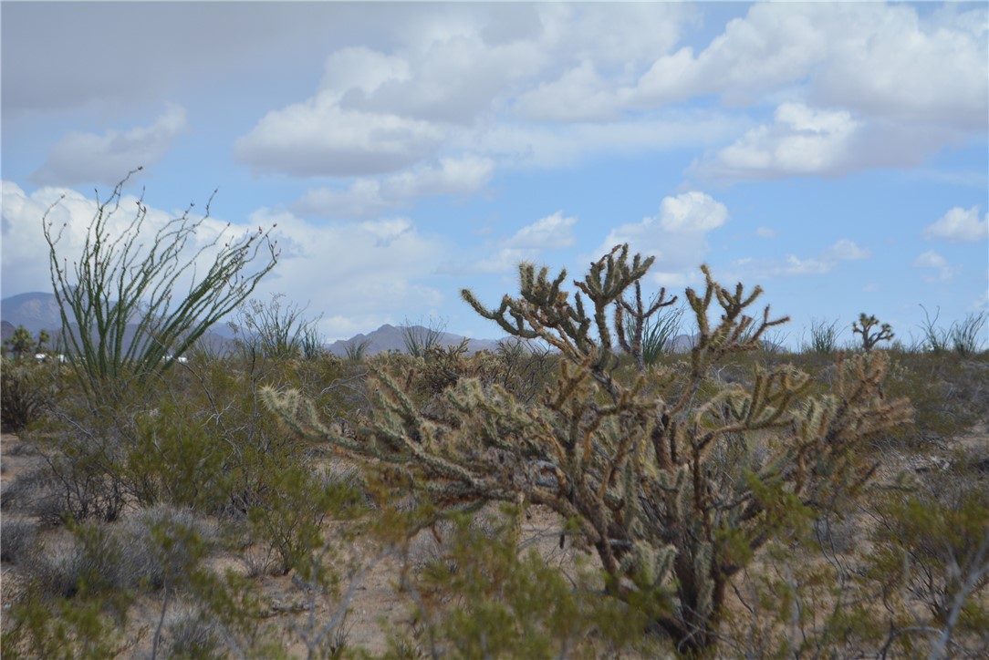 165-166 Cherry Road Yucca, AZ 86438 - Photo 14 of 95 View