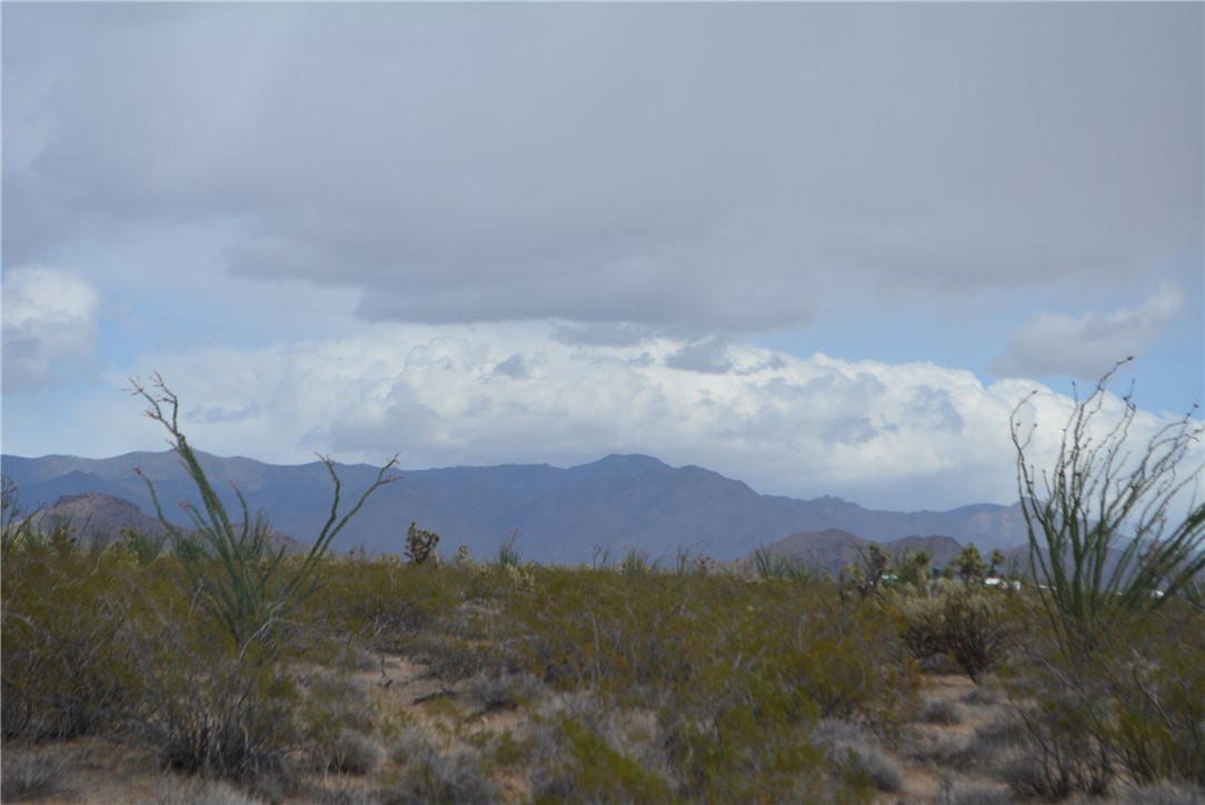 165-166 Cherry Road Yucca, AZ 86438 - Photo 18 of 95 View