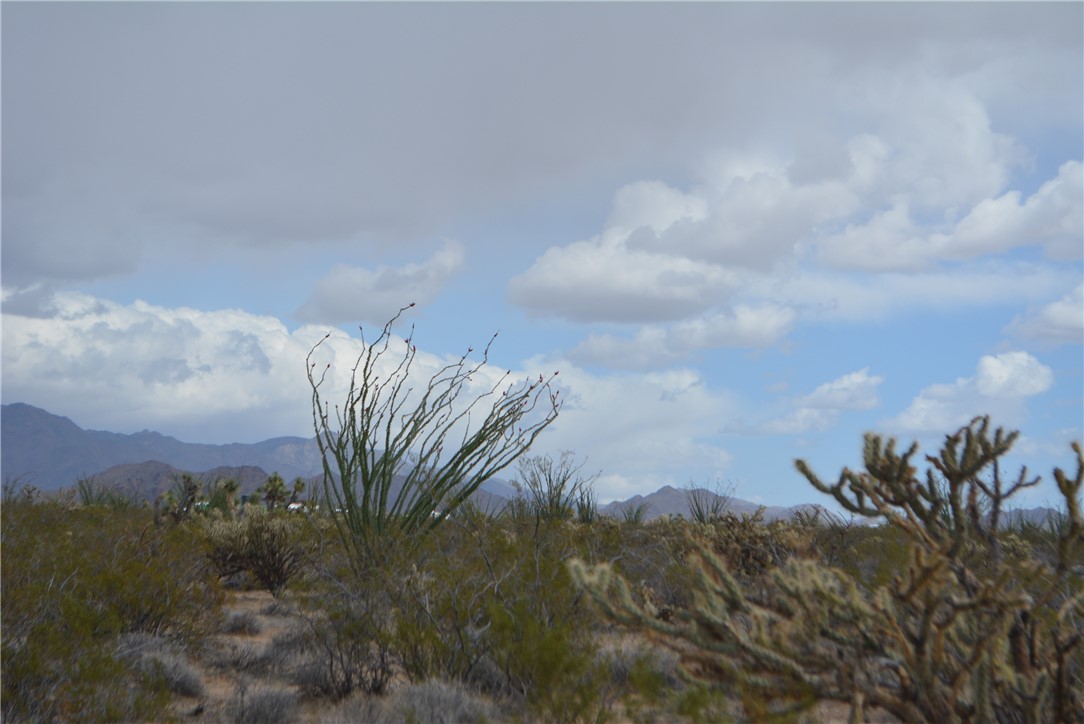 165-166 Cherry Road Yucca, AZ 86438 - Photo 19 of 95 View