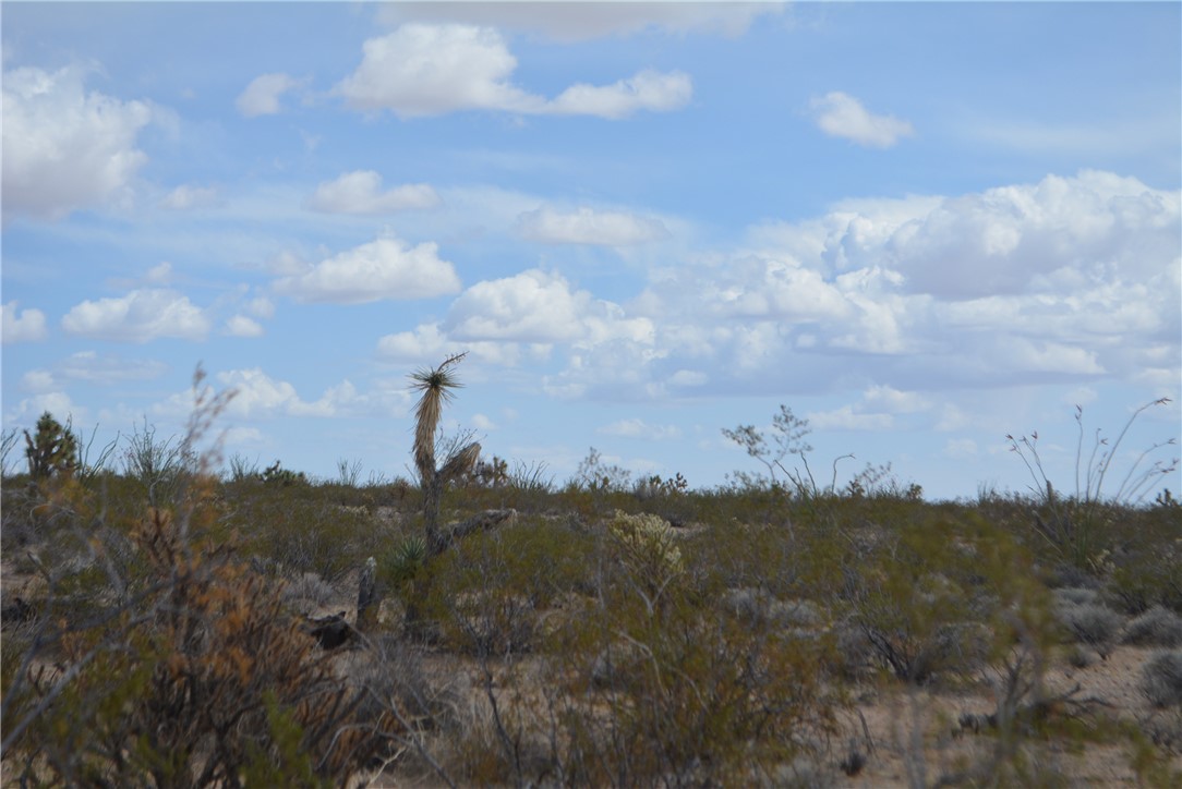165-166 Cherry Road Yucca, AZ 86438 - Photo 21 of 95 Other
