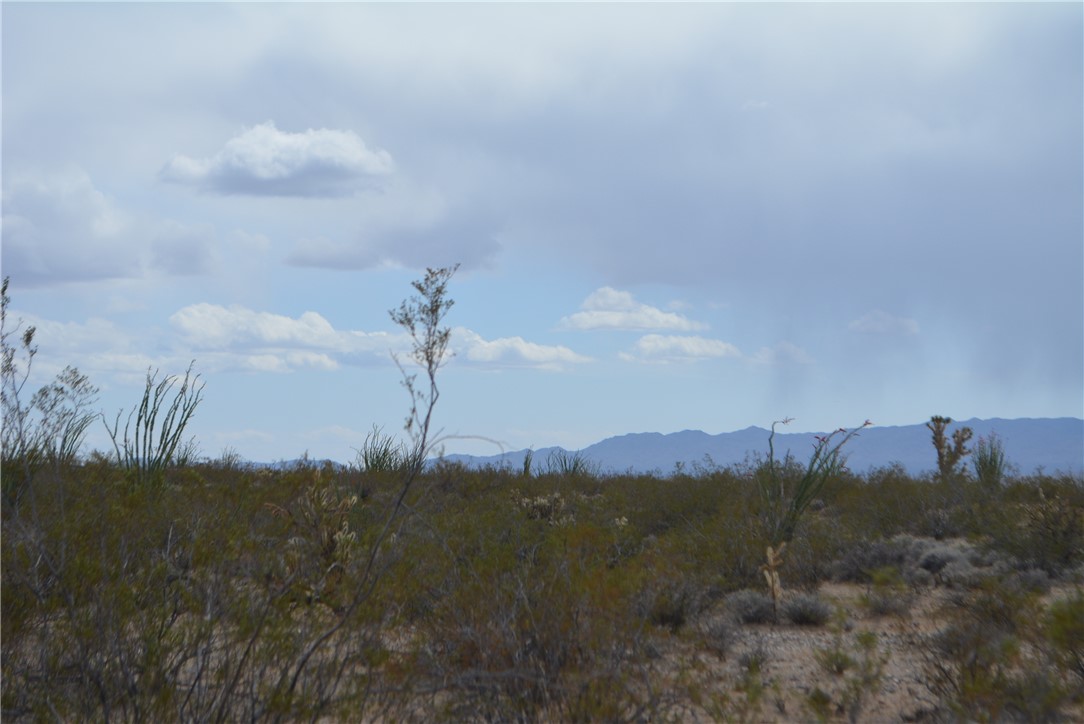 165-166 Cherry Road Yucca, AZ 86438 - Photo 23 of 95 View