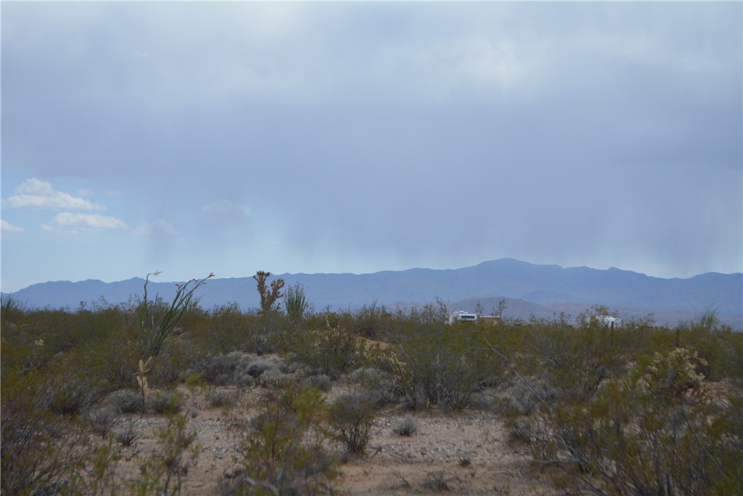 165-166 Cherry Road Yucca, AZ 86438 - Photo 24 of 95 View