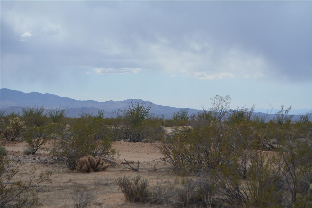 165-166 Cherry Road Yucca, AZ 86438 - Photo 26 of 95 View