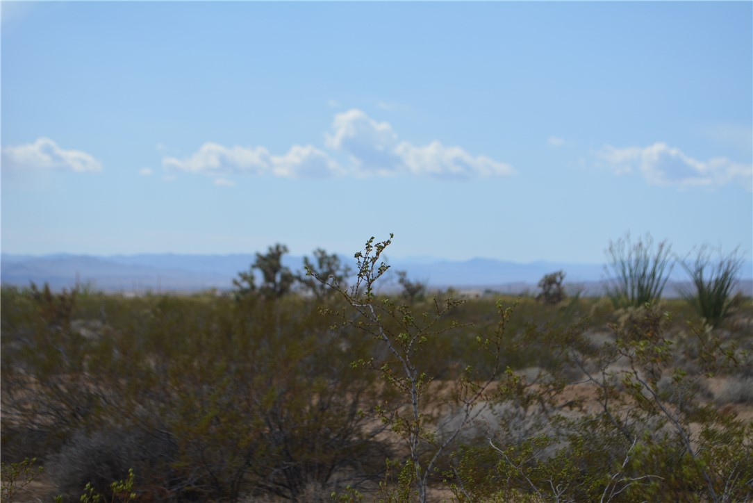 165-166 Cherry Road Yucca, AZ 86438 - Photo 28 of 95 View