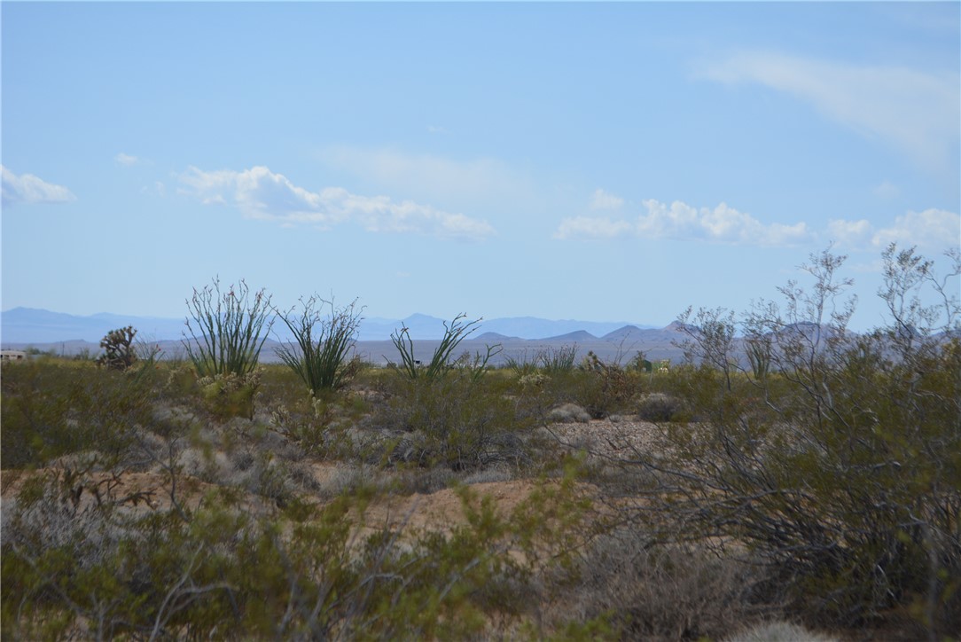 165-166 Cherry Road Yucca, AZ 86438 - Photo 29 of 95 View