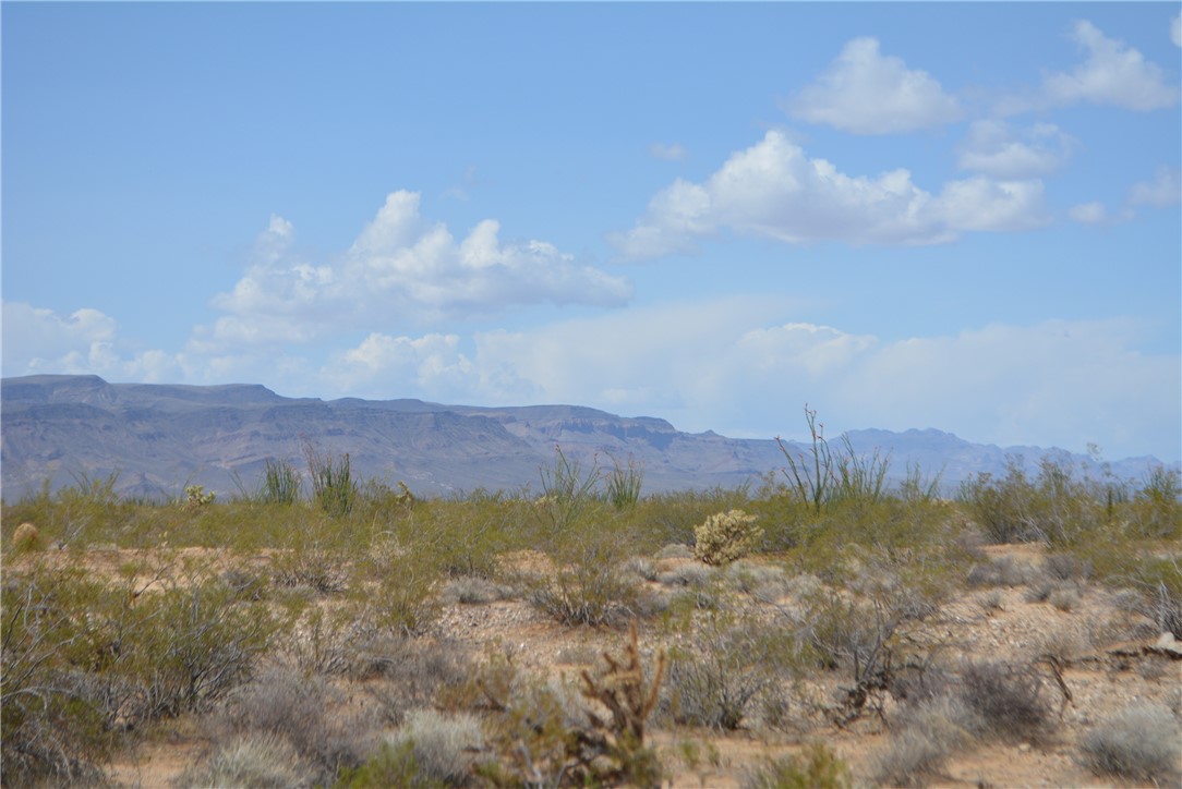 165-166 Cherry Road Yucca, AZ 86438 - Photo 3 of 95 View
