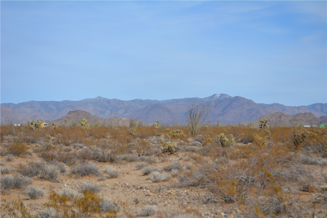 165-166 Cherry Road Yucca, AZ 86438 - Photo 35 of 95 View