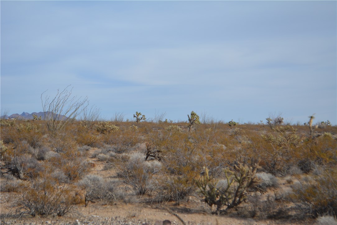 165-166 Cherry Road Yucca, AZ 86438 - Photo 38 of 95 Other