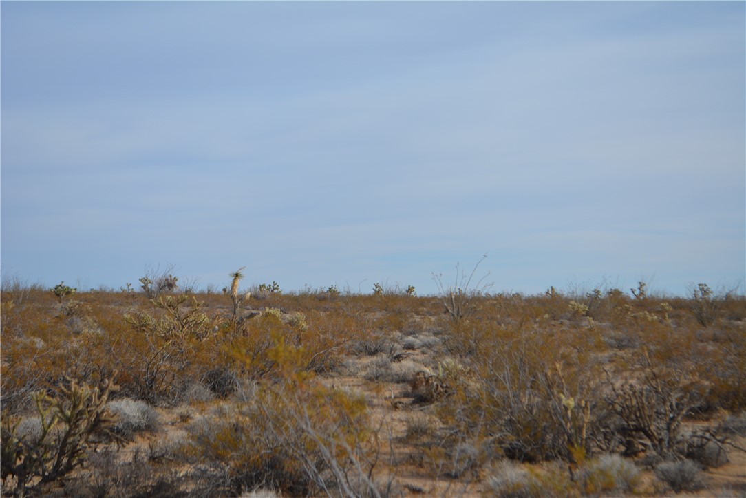 165-166 Cherry Road Yucca, AZ 86438 - Photo 39 of 95 Other