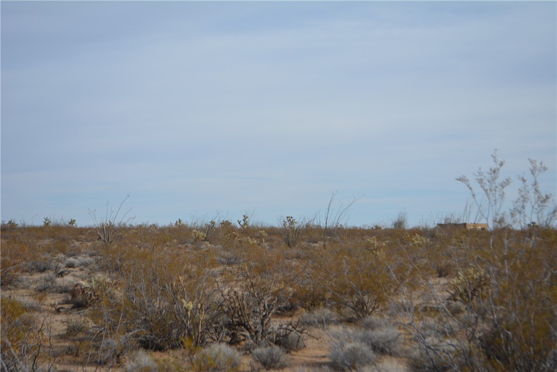 165-166 Cherry Road Yucca, AZ 86438 - Photo 40 of 95 Other