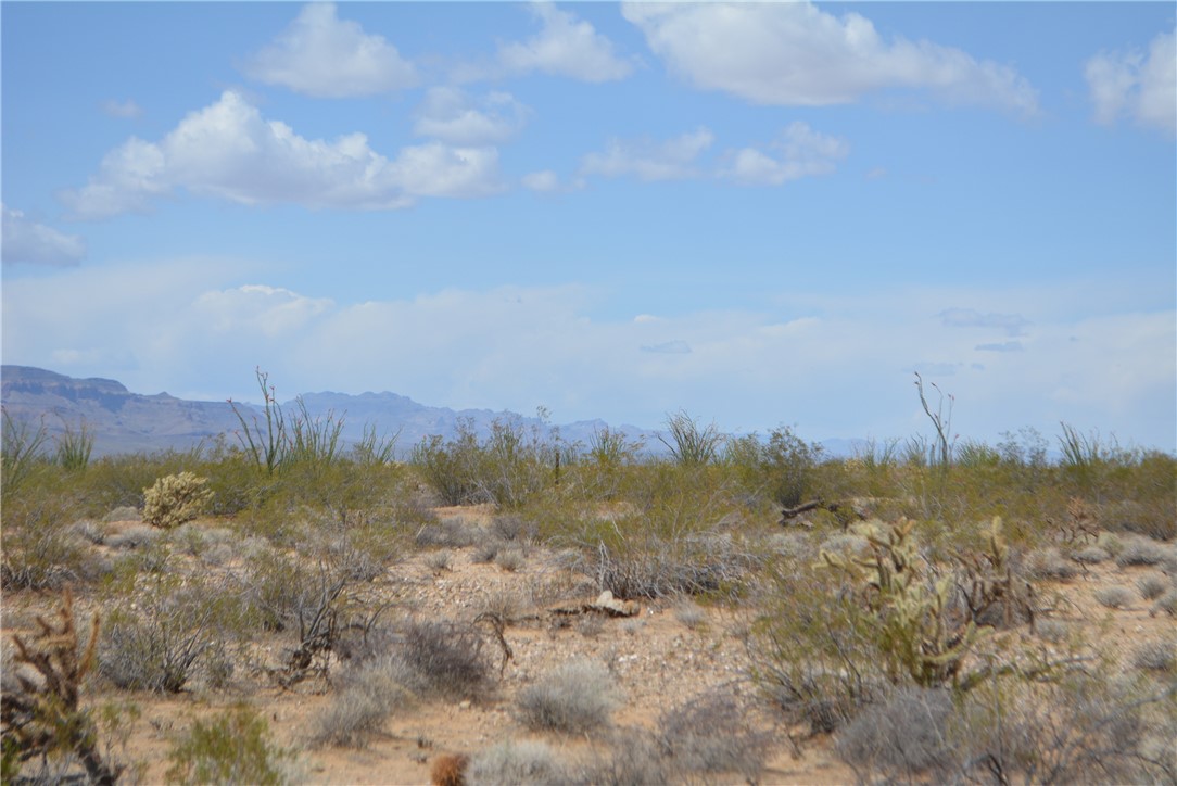 165-166 Cherry Road Yucca, AZ 86438 - Photo 4 of 95 View