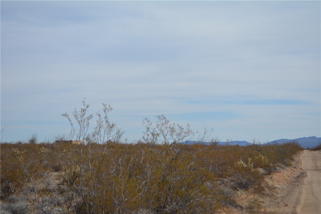 165-166 Cherry Road Yucca, AZ 86438 - Photo 41 of 95 Other