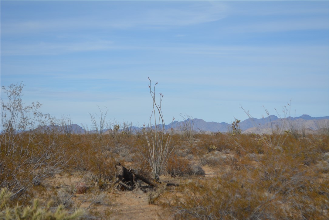 165-166 Cherry Road Yucca, AZ 86438 - Photo 50 of 95 View