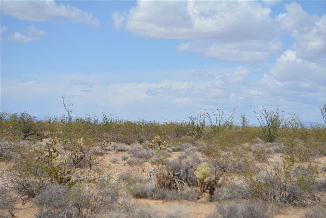 165-166 Cherry Road Yucca, AZ 86438 - Photo 5 of 95 Other