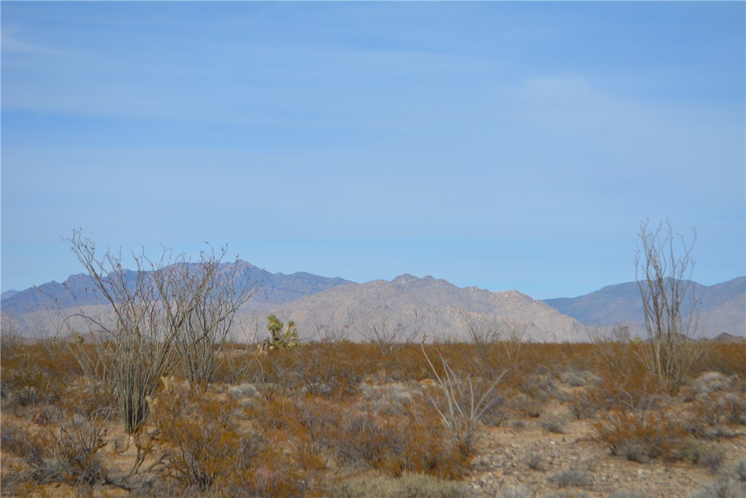 165-166 Cherry Road Yucca, AZ 86438 - Photo 52 of 95 View