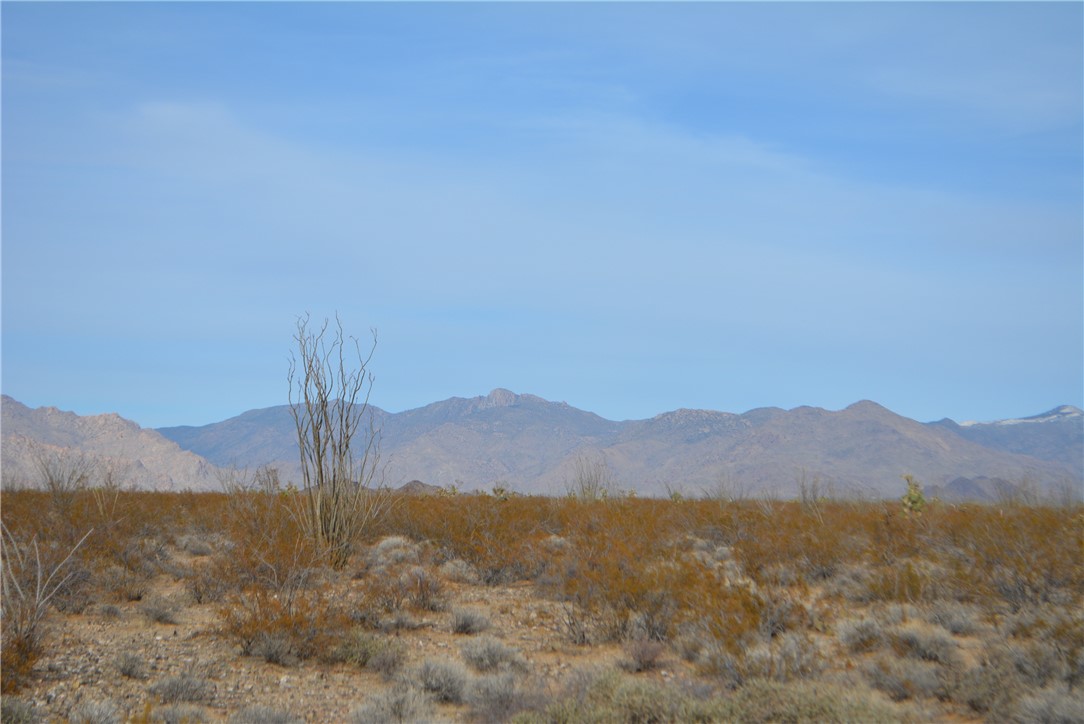 165-166 Cherry Road Yucca, AZ 86438 - Photo 53 of 95 View
