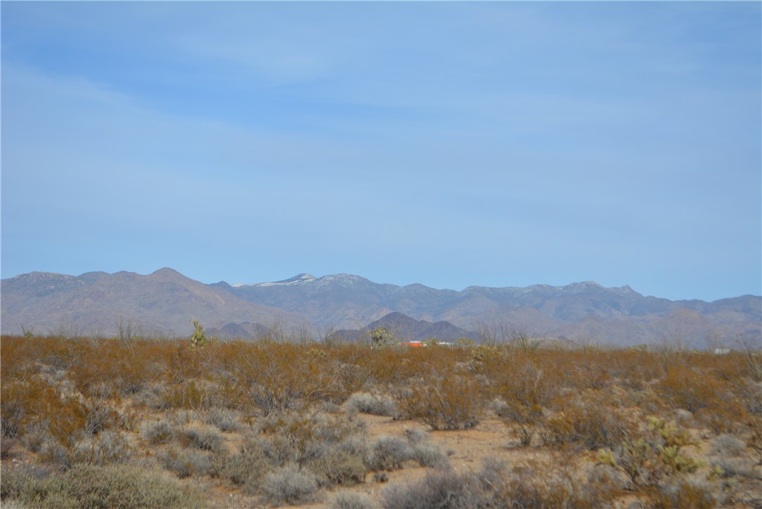 165-166 Cherry Road Yucca, AZ 86438 - Photo 54 of 95 View