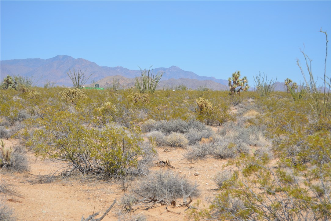 165-166 Cherry Road Yucca, AZ 86438 - Photo 57 of 95 View