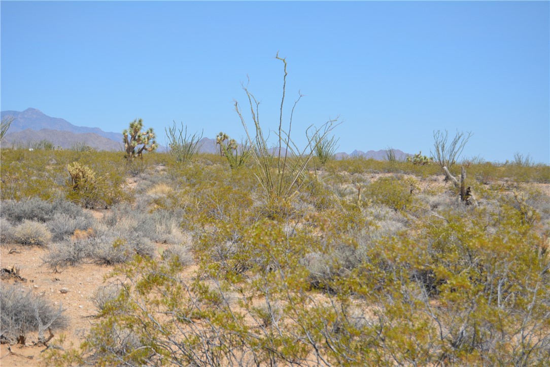 165-166 Cherry Road Yucca, AZ 86438 - Photo 58 of 95 Other