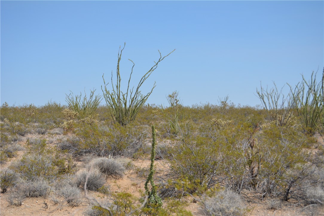 165-166 Cherry Road Yucca, AZ 86438 - Photo 60 of 95 Other