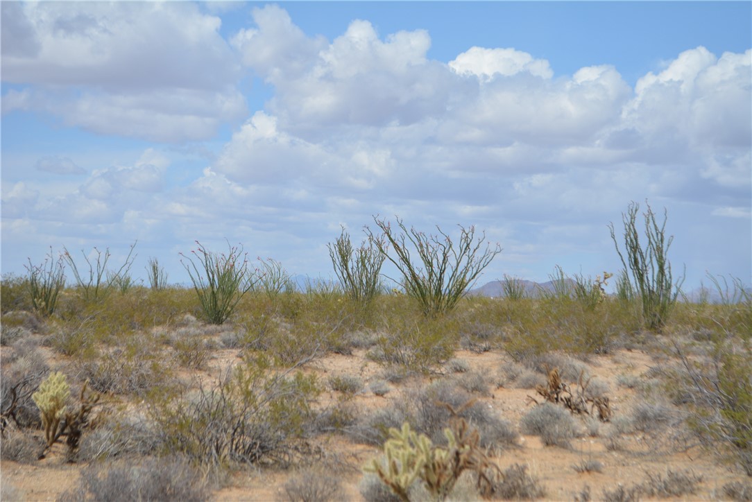 165-166 Cherry Road Yucca, AZ 86438 - Photo 6 of 95 Other