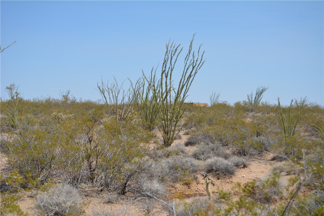165-166 Cherry Road Yucca, AZ 86438 - Photo 61 of 95 Other