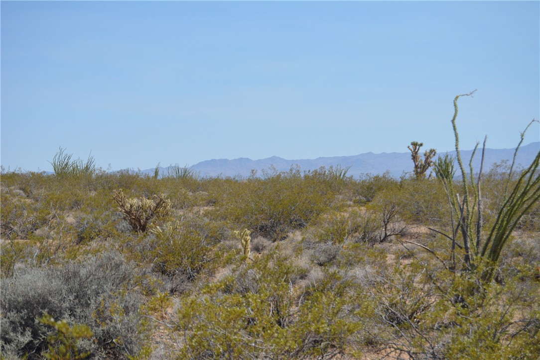 165-166 Cherry Road Yucca, AZ 86438 - Photo 63 of 95 View