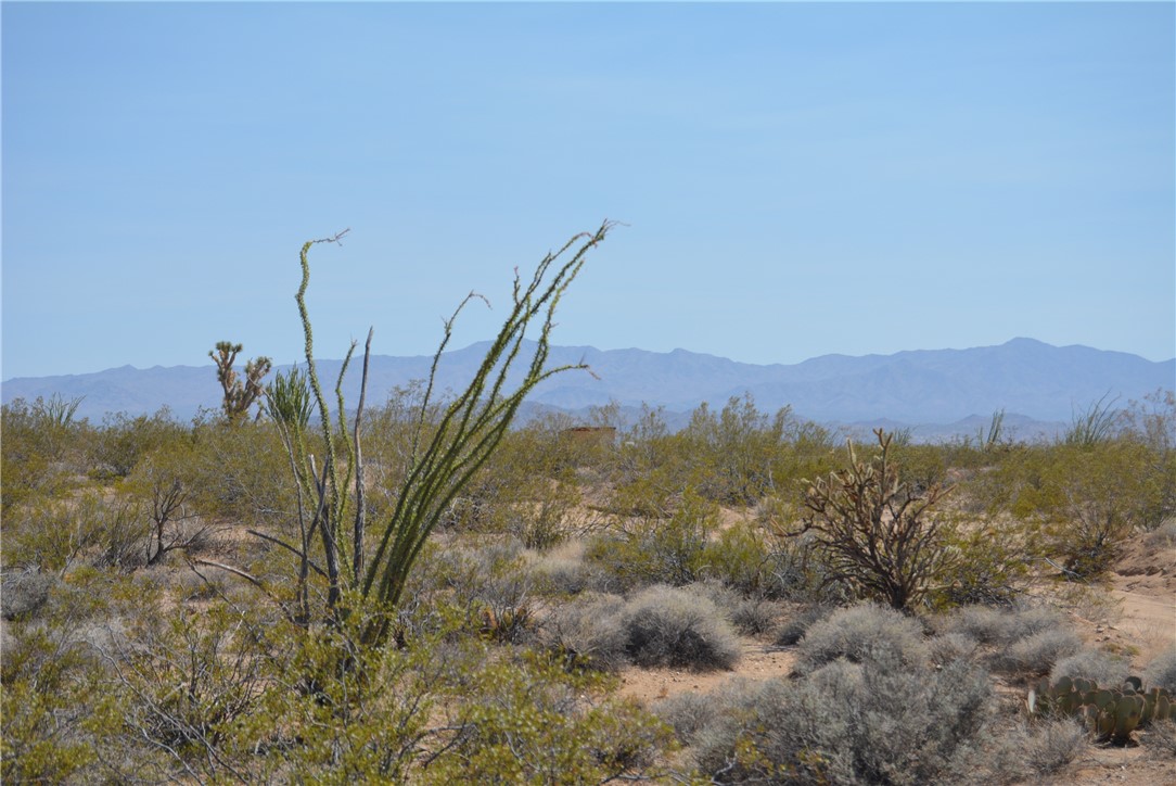165-166 Cherry Road Yucca, AZ 86438 - Photo 64 of 95 View