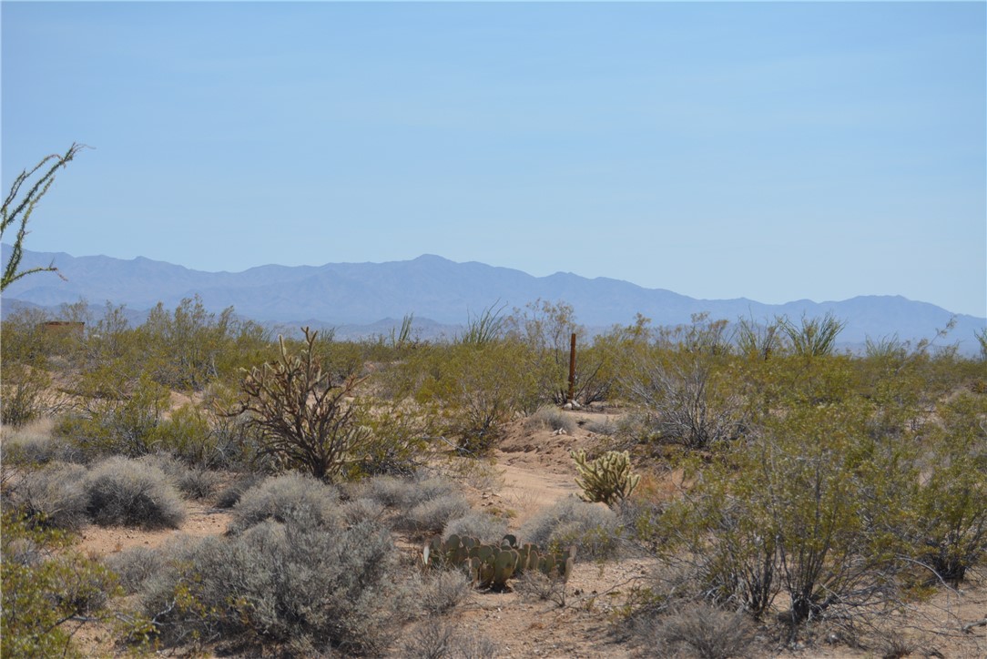 165-166 Cherry Road Yucca, AZ 86438 - Photo 65 of 95 View