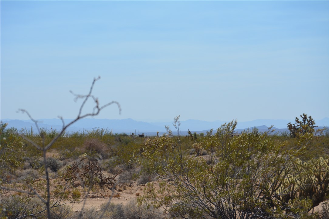 165-166 Cherry Road Yucca, AZ 86438 - Photo 68 of 95 View