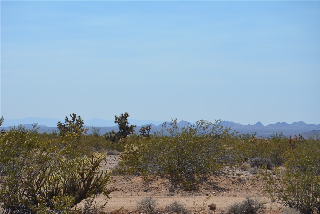 165-166 Cherry Road Yucca, AZ 86438 - Photo 69 of 95 View
