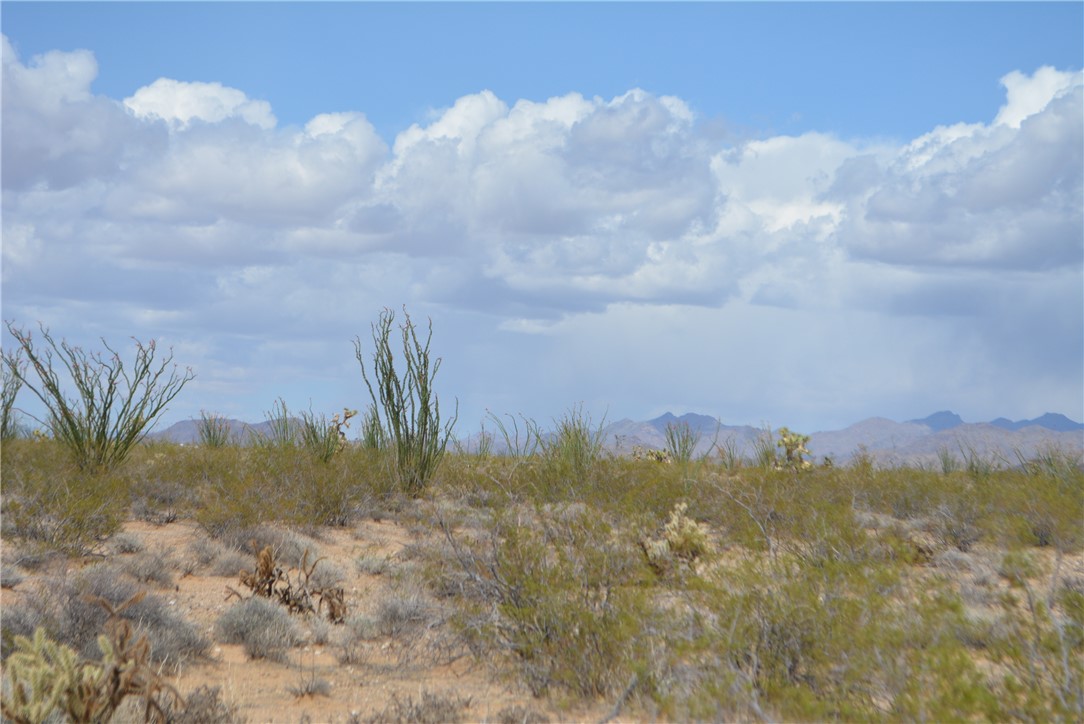 165-166 Cherry Road Yucca, AZ 86438 - Photo 7 of 95 View