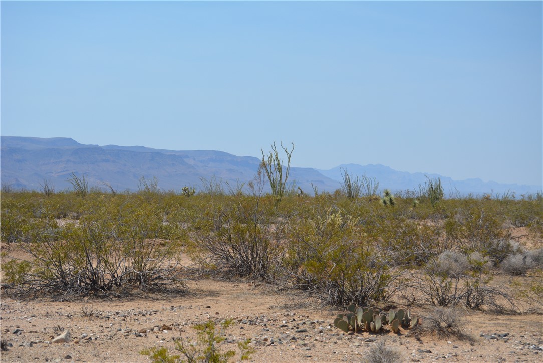 165-166 Cherry Road Yucca, AZ 86438 - Photo 71 of 95 View