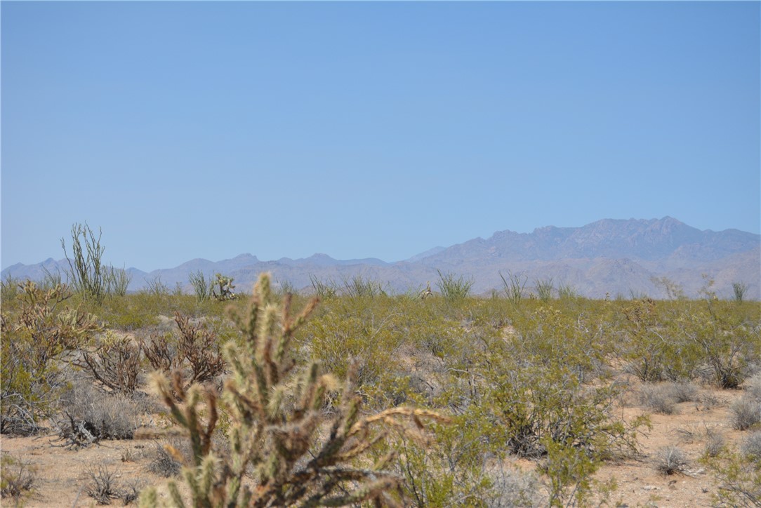 165-166 Cherry Road Yucca, AZ 86438 - Photo 72 of 95 View