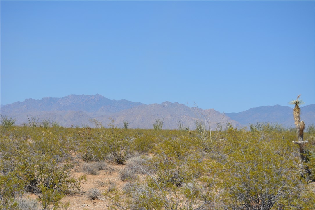 165-166 Cherry Road Yucca, AZ 86438 - Photo 73 of 95 View