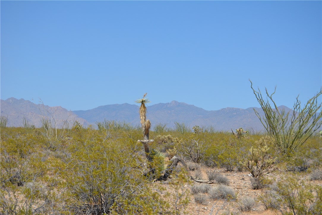 165-166 Cherry Road Yucca, AZ 86438 - Photo 74 of 95 View