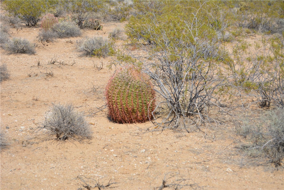165-166 Cherry Road Yucca, AZ 86438 - Photo 76 of 95 Other