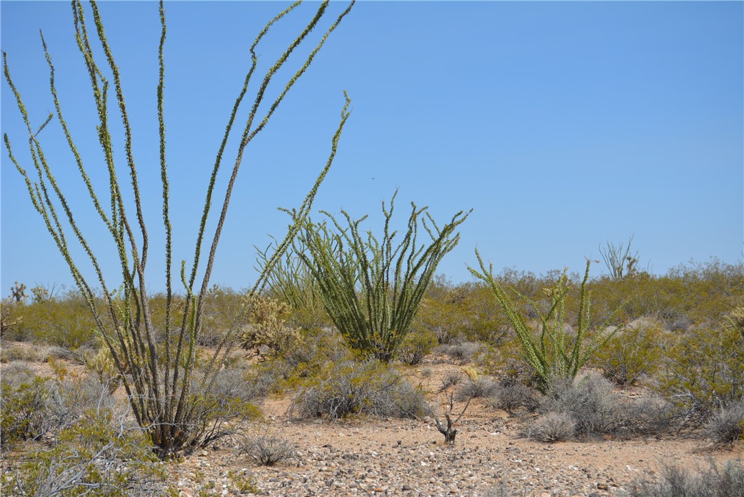 165-166 Cherry Road Yucca, AZ 86438 - Photo 77 of 95 Other