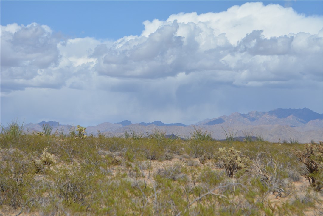 165-166 Cherry Road Yucca, AZ 86438 - Photo 8 of 95 View