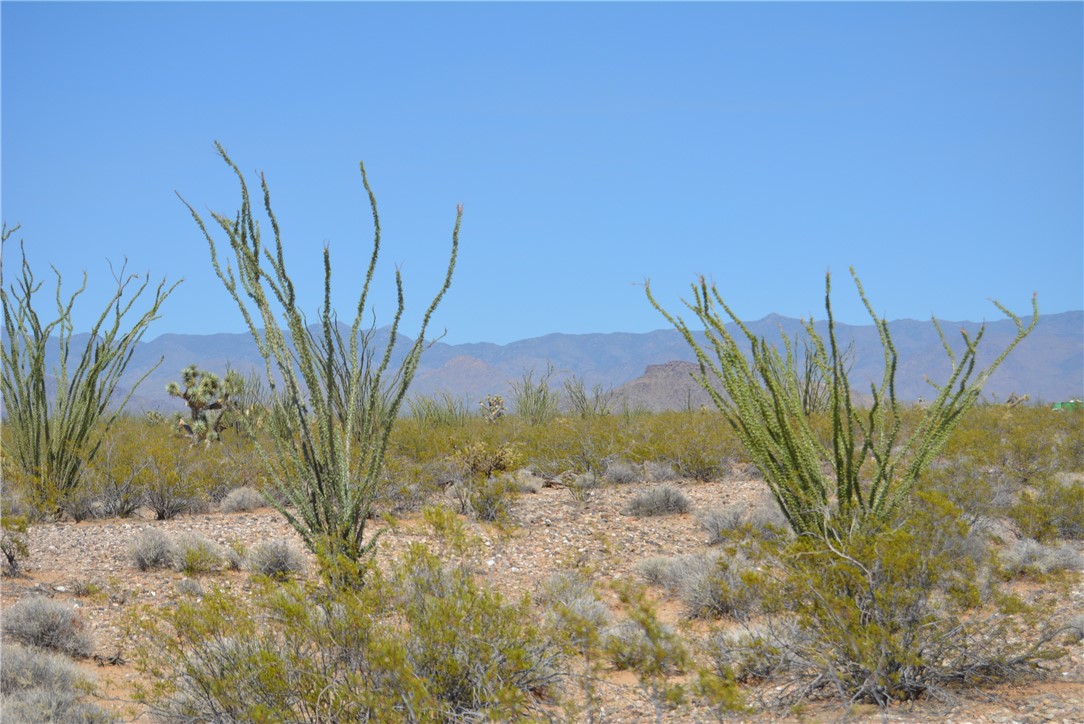 165-166 Cherry Road Yucca, AZ 86438 - Photo 85 of 95 View